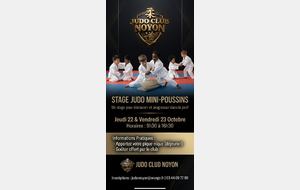 STAGE DE LA TOUSSAINT MINI-POUSSIN